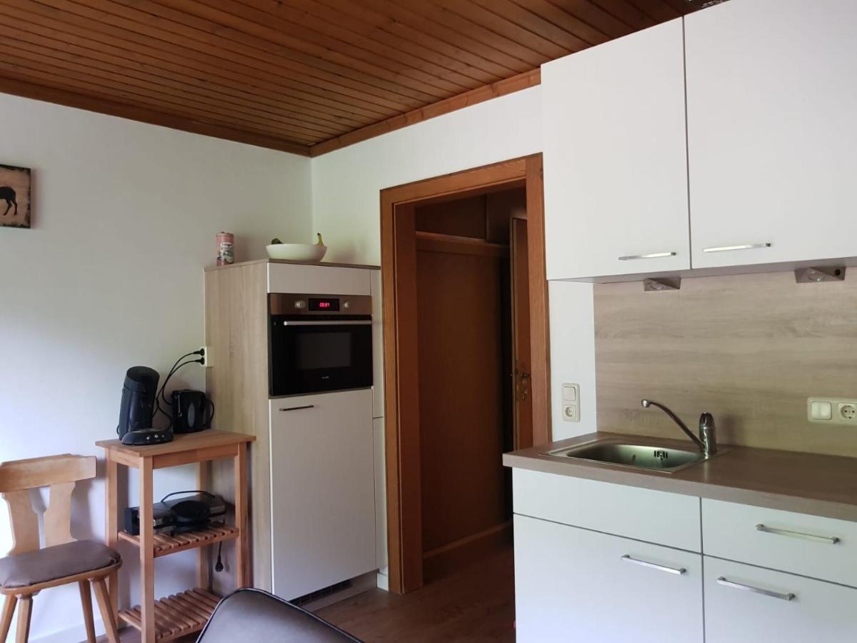 Haus Dienten Top 11 Dienten am Hochkoenig Ngoại thất bức ảnh