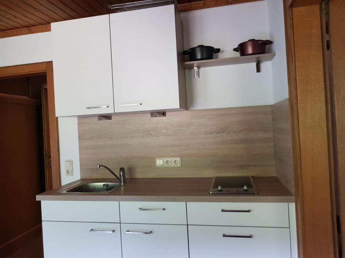 Haus Dienten Top 11 Dienten am Hochkoenig Ngoại thất bức ảnh